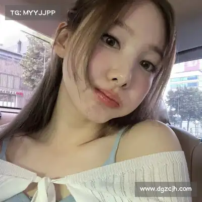 凤鲁庄